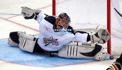 格斗巨星巅峰对决落幕，新王加冕引爆全球拳坛