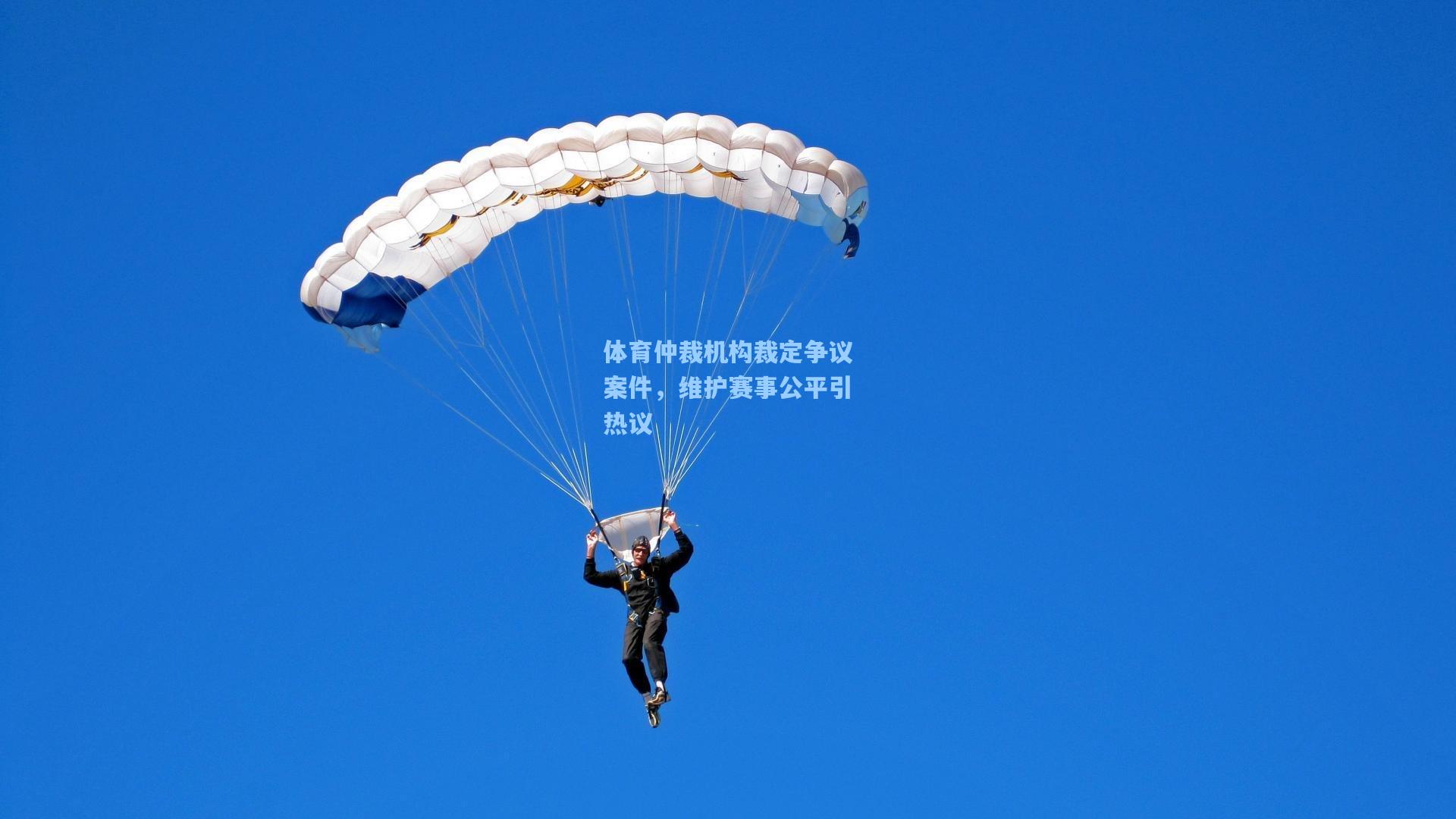 体育仲裁机构裁定争议案件，维护赛事公平引热议